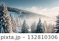 Snow-covered trees in a serene forest landscape during winter morning sunlight 132810306