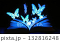 An open book radiates light in a dimly lit space, as glowing butterflies gracefully emerge, illuminating the surroundings with their vibrant colors and enchantment 132816248
