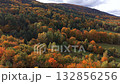Aerial view of vibrant autumn forest showing a mix of orange, yellow, and green trees on a hillside. Beautiful fall foliage landscape in soft daylight. 132856256