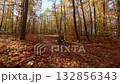 Cinematic FPV drone shot of woman riding motorcycle along forest trail covered with colorful autumn leaves. Scenic fall landscape perfect for travel, adventure, and lifestyle projects. 132856343