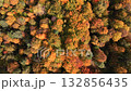 Aerial top down view of dense autumn forest with vibrant orange, yellow, and green tree canopies. Peaceful natural texture and colorful seasonal landscape. 132856435