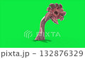 green screen sunflower tentacle monster walkcycle side 3d animation 132876329