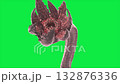 green screen sunflower tentacle monster close up 3d animation  132876336