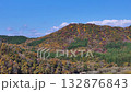 Aerial view of autumn leaves, mountains, natural scenery, Akita Prefecture 132876843