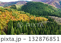 Aerial view of autumn leaves, mountains, natural scenery, Akita Prefecture 132876851
