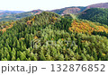 Aerial view of autumn leaves, mountains, natural scenery, Akita Prefecture 132876852