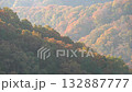 Autumn leaves in a forest in Maniwa City, Okayama Prefecture 132887777