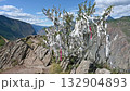 White ritual ribbons tied on a bush are used as offerings to the spirits of mountains 132904893