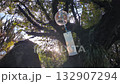 夏の木漏れ日と逆光に輝きながら揺れるガラスの風鈴 日本の伝統的な風物詩 132907294