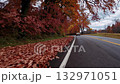 Car driving on a picturesque rural road, surrounded by vibrant red and orange autumn foliage, with a carpet of fallen leaves strewing the shoulder and creating a seasonal atmosphere 132971051