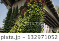 Urban concrete overpass structure heavily covered in vibrant green and red ivy vines, symbolizing nature reclaiming man made architecture and creating an ecological fusion 132971052