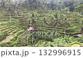 Bali Ubud - Tegalalang rice field terrace 132996915