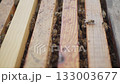 Worker bees in a hive build honeycomb. Slow motion. 133003677
