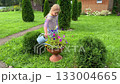 Happy young girl taking care of her garden, watering flowers with a watering can on a sunny summer day, enjoying outdoor activity and gardening 133004665