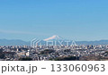 Aerial view of Mount Fuji from the Minuma rice fields in Saitama Prefecture, Saitama City 133060963
