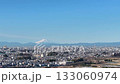 Aerial view of Mount Fuji from the Minuma rice fields in Saitama Prefecture, Saitama City 133060974