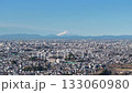 Aerial view of Mount Fuji from the Minuma rice fields in Saitama Prefecture, Saitama City 133060980