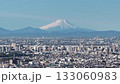 Aerial view of Mount Fuji from the Minuma rice fields in Saitama Prefecture, Saitama City 133060983