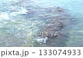 Sea landscape with rocks on the beach Beautiful blue water with waves 133074933
