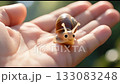 A small smiling snail perched on a hand, glistening in sunlight with a soft shell texture, representing calm, simplicity, and slow life beauty. 133083248