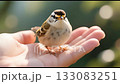 A tiny bird perched on a hand, surrounded by soft sunlight and blurred greenery, symbolizing freedom and connection with nature. 133083251