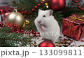 クリスマスを楽しむジャンガリアンハムスター 133099811