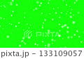 Christmas Snowing Overlay on Green Screen. Winter Holiday Concept. 133109057