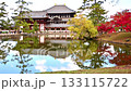 The Great Buddha Hall and autumn leaves reflected on the surface of Kagami Pond 133115722