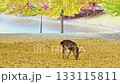 Autumn's Nara Park and Deer 133115811