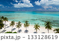 Palm trees on the sandy beach of a beautiful bay. 133128619