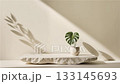 A minimalist scene with a Monstera leaf in a vase on a rough stone slab. Natural light and shadows create a calm, serene composition for organic product display and branding. 133145693