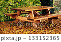 Wooden picnic table in autumn park surrounded by fallen yellow leaves 133152365