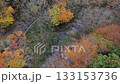Autumn leaves in Oda Miyama, north along the river 133153736