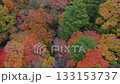 Autumn leaves in Oda Miyama, north along the river 133153737