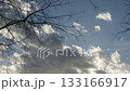 Branches of dry tree with clouds moving in sky at sunset 133166917