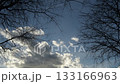 Dry trees with clouds moving in sky at sunset 133166963