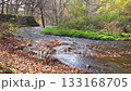Autumn in the Kitanizawa mountain stream of Oku-Daisen, Tottori Prefecture 133168705