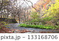 Autumn in the Kitanizawa mountain stream of Oku-Daisen, Tottori Prefecture 133168706