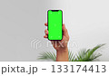 Male hand using chroma key smartphone on White background and palm leaves. Blank green screen mock up with Tracking Markers. Hand lifts phone up 133174413