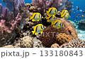 reef on sea 133180843
