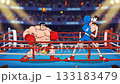 Cartoon video featuring two boxers 133183479