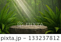 The rays of the sun illuminate the podium against the background of the jungle 133237812
