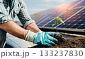 Solar panels and sprout as a symbol of sustainable development 133237830