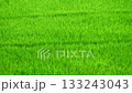 Aerial view of green rice plant field in water on dirt land, Wind shaking rice plants in crop to swaying like wave, Beautiful natural environment 133243043