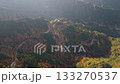 View of the autumn foliage of the Besshi Line from above 133270537