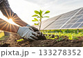 Planting a young sapling next to solar panels 133278352