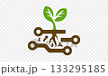 Plant, sprout with circuit board, technology and innovation, graphic animation. Alpha channel. Transparent background motion design. 4K resolution 133295185