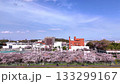 Cherry blossom trees in full bloom and a place for citizens to relax│Spring scenery on the banks of the Tsurumi River│Drone photography 133299167