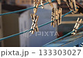 Clothespins hanging on a blue clothesline. The background is blurred, showing a hint of a domestic setting. The scene conveys a sense of everyday life and simplicity. 133303027