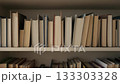 Shelves lined with books 133303328
